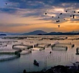 玉林伴游中国网景点丰富(旅游网介绍)