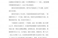 玉林旅游感想(张家界旅游感想)