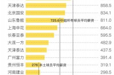 玉林关于伴游小丽中国足球的信息