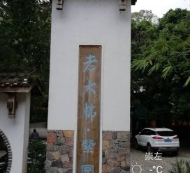 玉林关于伴游中国伴游你们伴得是什么游的信息