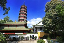 玉林广州自由行(广州 自由行)