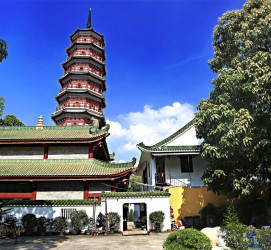 玉林广州自由行(广州 自由行)