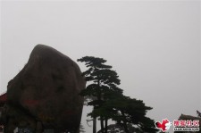 玉林上海伴游私家陪游雇用女模(上海伴游私家陪游雇用女模特)