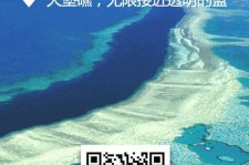 玉林中国250家旅行社结伴游新西兰(新西兰当地旅行社)