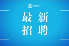 玉林镇江伴游雇用驾驶员(镇江驾驶员雇用苍生网)