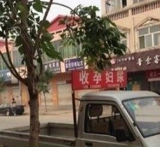 玉林上海伴游 用伴游造句大全(5