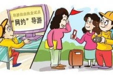 玉林伴游是什么
