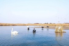 玉林南昌附近伴游小妹兼职(1534939978姐的微信德惠市)