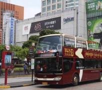 玉林上海私人伴游 上海过年怎么玩？这些“微游”线路了解下→