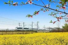 玉林高铁游(高铁游戏下载手机版)