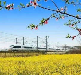 玉林高铁游(高铁游戏下载手机版)