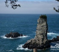 玉林旅游全攻略(上海旅游全攻略)