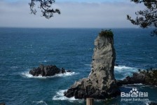 玉林旅游全攻略(上海旅游全攻略)