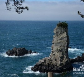 玉林旅游全攻略(上海旅游全攻略)