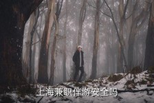 玉林上海私人伴游 上海伴游，上海兼职伴游安全吗