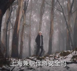 玉林上海私人伴游 上海伴游，上海兼职伴游安全吗