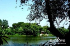 玉林西湖旅游攻略(上海到杭州西湖旅游攻略)