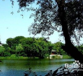 玉林西湖旅游攻略(上海到杭州西湖旅游攻略)