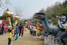 玉林中国伴游带你打卡网红南山竹海(南山竹海网上预约)