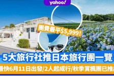 玉林旅游价格(旅游价格机制)