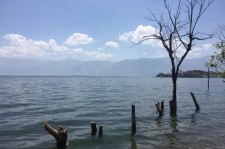 玉林洱海旅游攻略(洱海旅游攻略自由行)