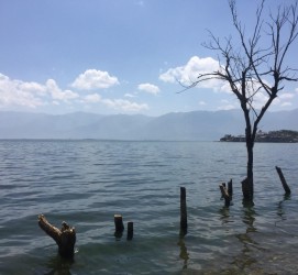 玉林洱海旅游攻略(洱海旅游攻略自由行)