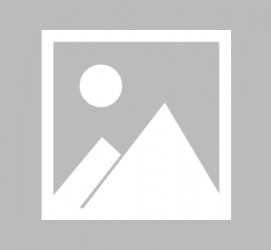 玉林泉州洛江区伴游网雇用(泉州洛江区伴游网雇用信息)