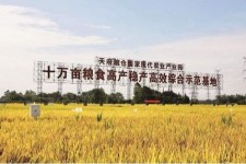 玉林关于成都商务伴游外围雇用的信息