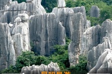 玉林贵阳市游览社英语伴游雇用(贵阳市前十名游览社是哪几家)