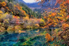 玉林四川旅游攻略(四川旅游攻略十五日游)