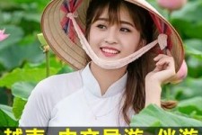 玉林日本关东伴游中国(日本关西旅行)