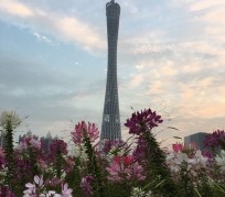 玉林广州旅游攻略(杭州到广州旅游攻略)