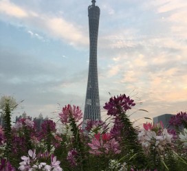 玉林广州旅游攻略(杭州到广州旅游攻略)