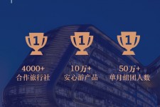 玉林上海私人伴游 ​ “小而美”的新时代：2020年国内新跟团消费报告