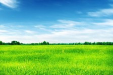 玉林上海伴游 上海模特伴游微信号的交友宣言