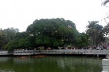 玉林福州旅游攻略(福州旅游攻略二日游)