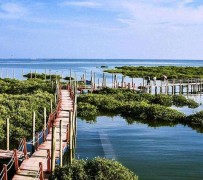 玉林旅游哪里好玩(云南旅游哪里好玩)