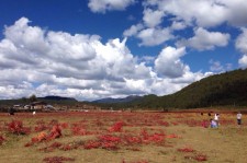 玉林旅游去处(暑期最好的旅游去处)