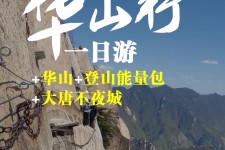 玉林一日游(一日游需要准备些什么东西?)