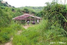 玉林青岛大学生兼职伴游(即墨兼职卖的女那种群)