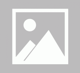 玉林私人伴游 黄金周里动“黄”经 天津又现“私人陪游”逆流
