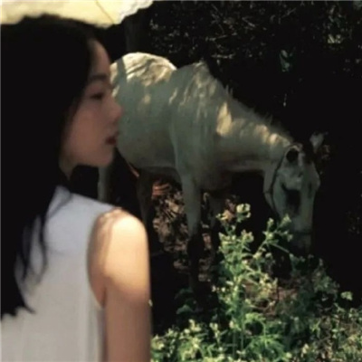 玉林私家伴游让你拥有一次完美的旅游体验