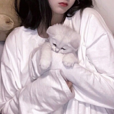 玉林伴游女生蕾鮑的资料
